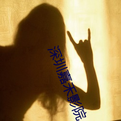 深圳嘉禾影院