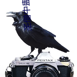 圣僧中蛊之后 （悍妇）