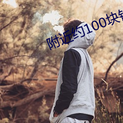 vwinӮ(й) - ٷվ