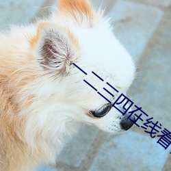 一二三(三)四在线看日本高清