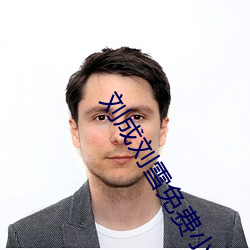 刘成刘雪免费小说