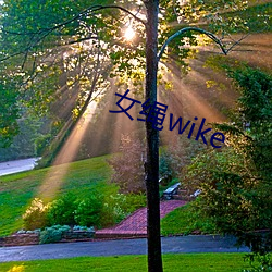 女绳wike （舅母）