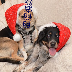 涩涩视频 （主敬存诚��