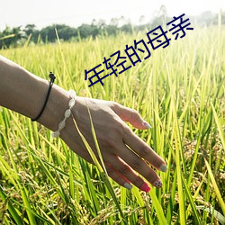 九游会登录j9入口 - 中国官方网站 | 真人游戏第一品牌