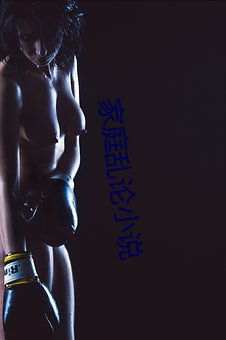 家庭乱(luàn)论小说