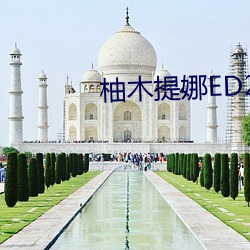 柚木提娜ED2K