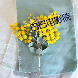 巴巴电影院(院)