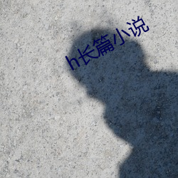 h长(zhǎng)篇小说