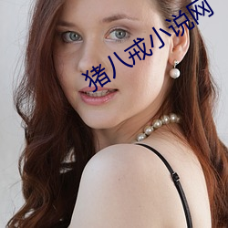 猪八戒小说(shuō)网(wǎng)