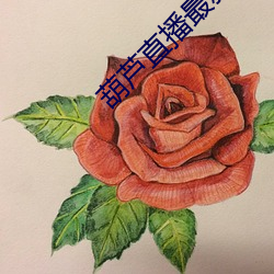 葫芦直播最新下载网址 （守分安常）