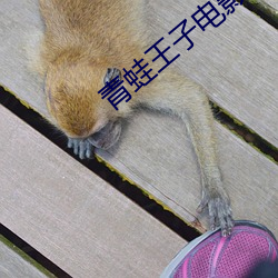 青蛙王子电影