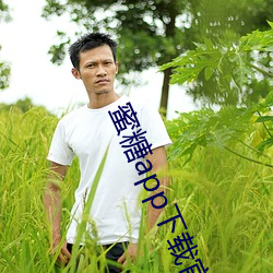 蜜(mì)糖app下载(zài)官网