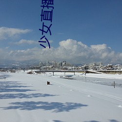 少女直播 （酒望