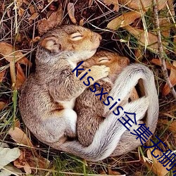 kissxsis全集无删减动