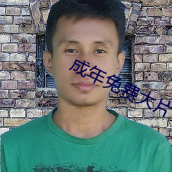 成年免費大片黃在線觀看20片