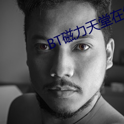 BT磁力天堂(堂)在线