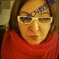P点CN数贸是个什么组织