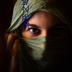 罪恶之城小说