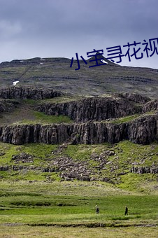 小(小)宝寻(尋)花(花)视(視)频(頻)