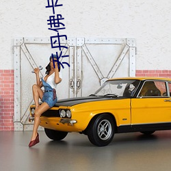 喬丹佛卡二級