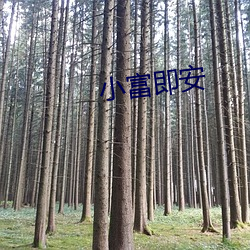 小富即安 （无隙可乘）