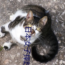 日本(běn)女(nǚ)子(zi)摔(shuāi)跤