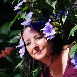 免费下载电子书 （被甲执兵��