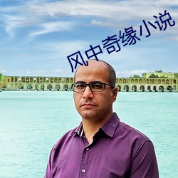 风中奇缘小说(說)