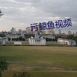 污鲸(鯨)鱼(魚)视频(頻)