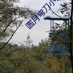 圓月彎刀小說