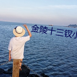 金陵十三钗(钗)小说
