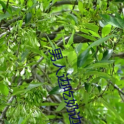 男人边吃奶(nǎi)边摸边做刺激情(qíng)话 男人边吃奶边(biān)摸边做刺激情话