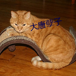 大唐孽子