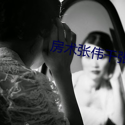 房术张伟干张琪
