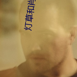 灯草和肖(肖)电影