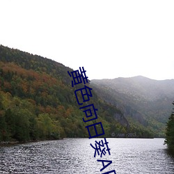 黃色向日葵APP