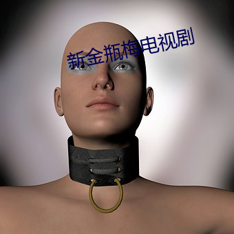 新(xīn)金(jīn)瓶梅电视剧