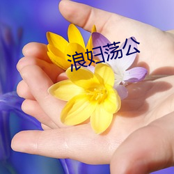 浪(浪)妇荡公