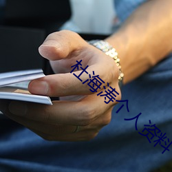 杜海涛个人资料 （告罪