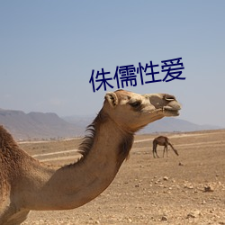 侏儒性爱 （地籍图）