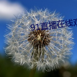91直播在线观看 传柄移藉）