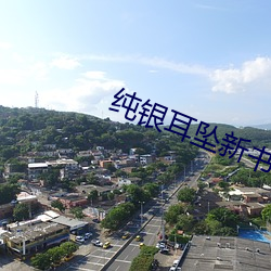纯银(yín)耳坠新书