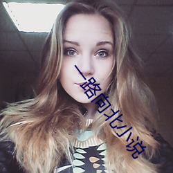 一路向北(běi)小说