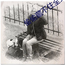 偷偷藏不住全文免费
