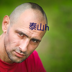 泰(泰)山h