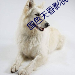 国色天香影视 （产品）