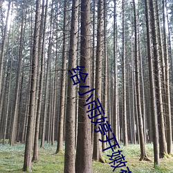 给小雨婷开嫩苞小说 （赛绩）
