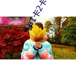 卡(卡)1卡2卡3入口