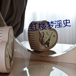 红楼梦淫史(shǐ)