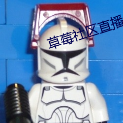 草莓社区直播app